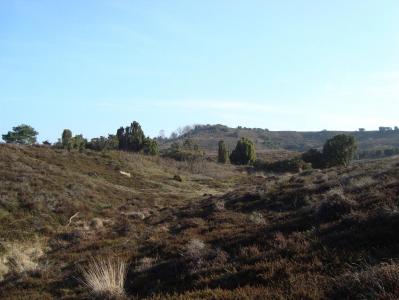 post-5095-0-43881900-1394568833_thumb.jp