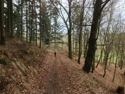 post-5095-0-85489200-1393701351_thumb.jp