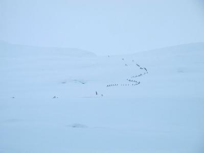 post-5481-0-13173300-1393797164_thumb.jp