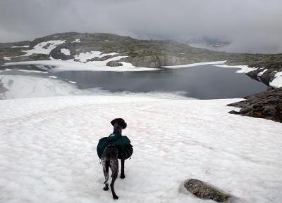 post-5617-0-36386200-1394557386_thumb.jp