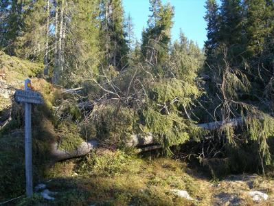 post-6789-0-06520600-1393787099_thumb.jp