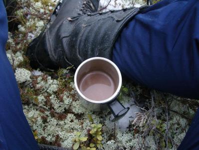 post-6789-0-23023000-1394375778_thumb.jp