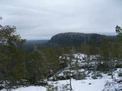 post-6789-0-33074000-1394375742_thumb.jp