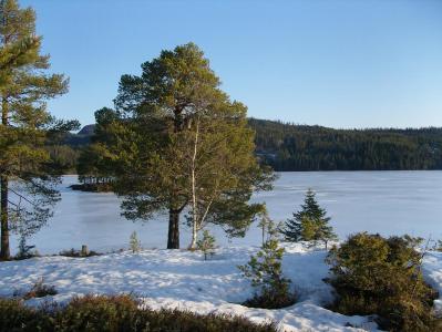 post-6789-0-33355300-1393787414_thumb.jp