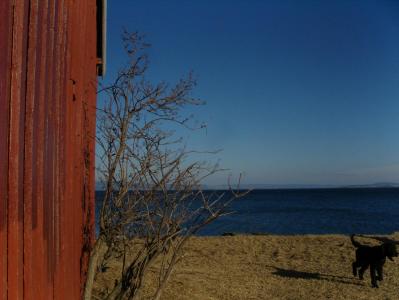 post-6789-0-41056200-1394028125_thumb.jp