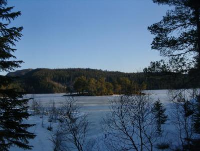 post-6789-0-49823000-1393787439_thumb.jp