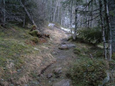 post-6789-0-64673600-1394375641_thumb.jp