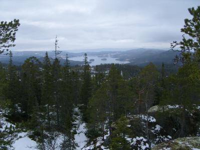 post-6789-0-68569500-1394375718_thumb.jp