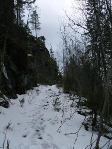 post-6789-0-77701300-1394375601_thumb.jp