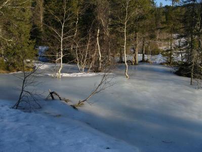 post-6789-0-86859100-1393786682_thumb.jp