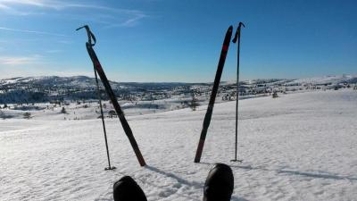 post-709-0-40173500-1394738608_thumb.jpe