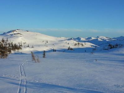 post-8554-0-09446700-1395820158_thumb.jp