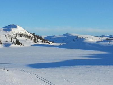 post-8554-0-16166200-1395820126_thumb.jp