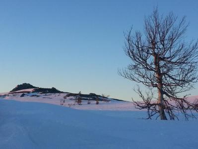 post-8554-0-74106700-1395820209_thumb.jp