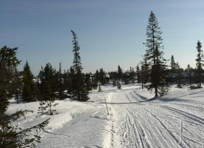 post-9055-0-70758500-1394391044_thumb.jp