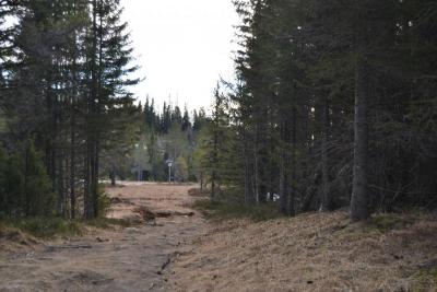 post-9060-0-89895500-1393869802_thumb.jp