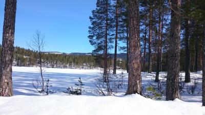 post-10513-0-64739800-1427745578_thumb.j