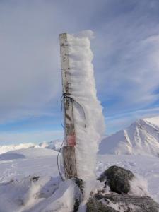 post-10858-0-08087800-1425561745_thumb.j