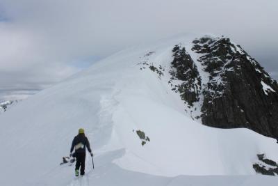 post-10858-0-31682200-1427536388_thumb.j