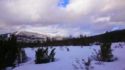 post-10858-0-87205600-1425831683_thumb.j