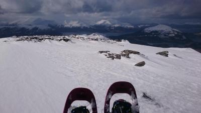 post-10858-0-94298800-1426108859_thumb.j