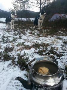 post-11179-0-20856300-1425293770_thumb.j