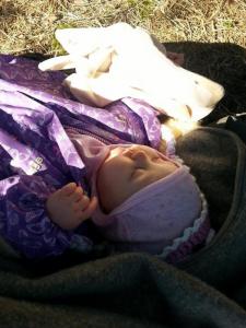 post-11179-0-28203000-1426272562_thumb.j