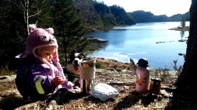 post-11179-0-51236100-1426272796_thumb.j