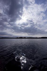 post-12278-0-26109500-1426863198_thumb.j