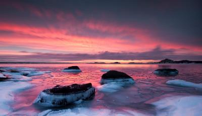 post-12278-0-55735900-1425715836_thumb.j