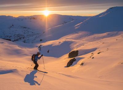 post-13206-0-24778800-1427272436_thumb.j