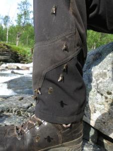 post-13206-0-24933600-1427468540_thumb.j