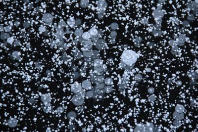 post-13251-0-33531200-1425590677_thumb.j