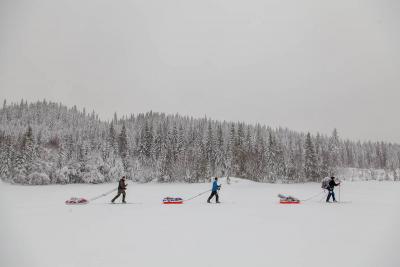 post-14218-0-10071600-1426720901_thumb.j