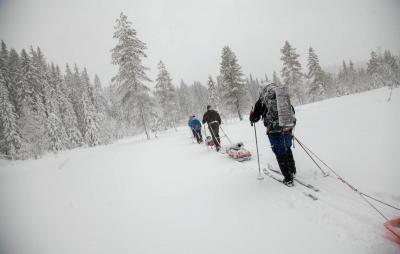 post-14218-0-39698600-1426720900_thumb.j