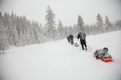 post-14218-0-67574800-1426720851_thumb.j