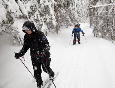 post-14218-0-81634100-1426720850_thumb.j