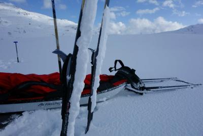 post-14504-0-63730000-1425833582_thumb.j