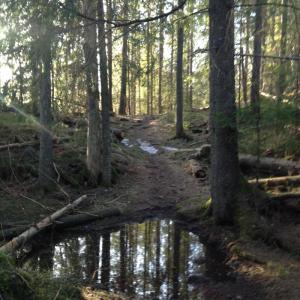 post-14924-0-02828100-1426241587_thumb.j