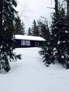 post-14924-0-45483500-1427472622_thumb.j