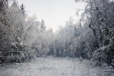 post-15624-0-46130500-1425629399_thumb.j