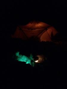 post-15991-0-54151100-1427028163_thumb.j