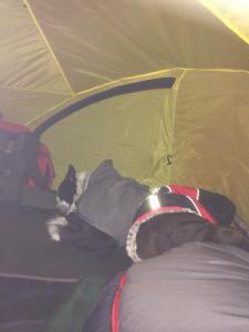 post-15991-0-57182100-1427028265_thumb.j