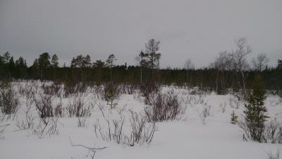 post-2898-0-91245100-1425739501_thumb.jp