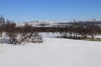 post-4016-0-19140800-1426486880_thumb.jp