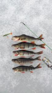 post-6295-0-80523700-1425665963_thumb.jp