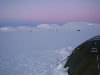 post-6328-0-12629300-1427028883_thumb.jp