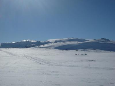 post-6328-0-94914400-1427028521_thumb.jp