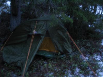 post-6789-0-45317000-1425204711_thumb.jp