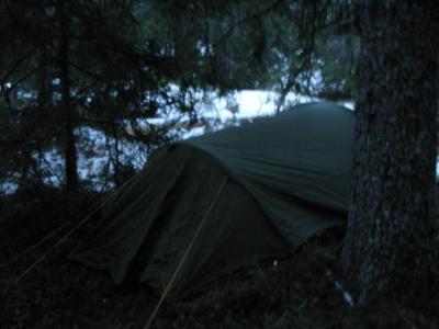 post-6789-0-46662700-1425204720_thumb.jp